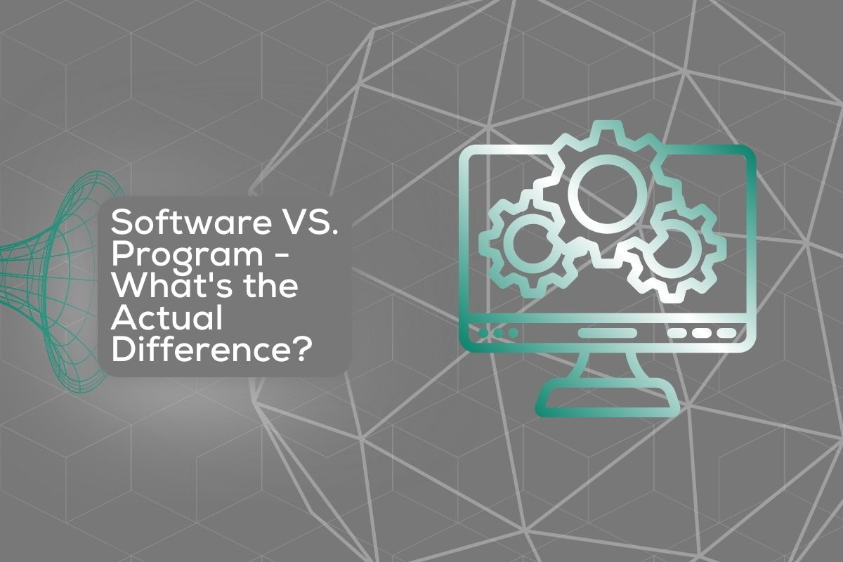 software vs program